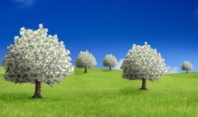 MoneyOnTrees.jpg